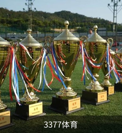 走进3377体育